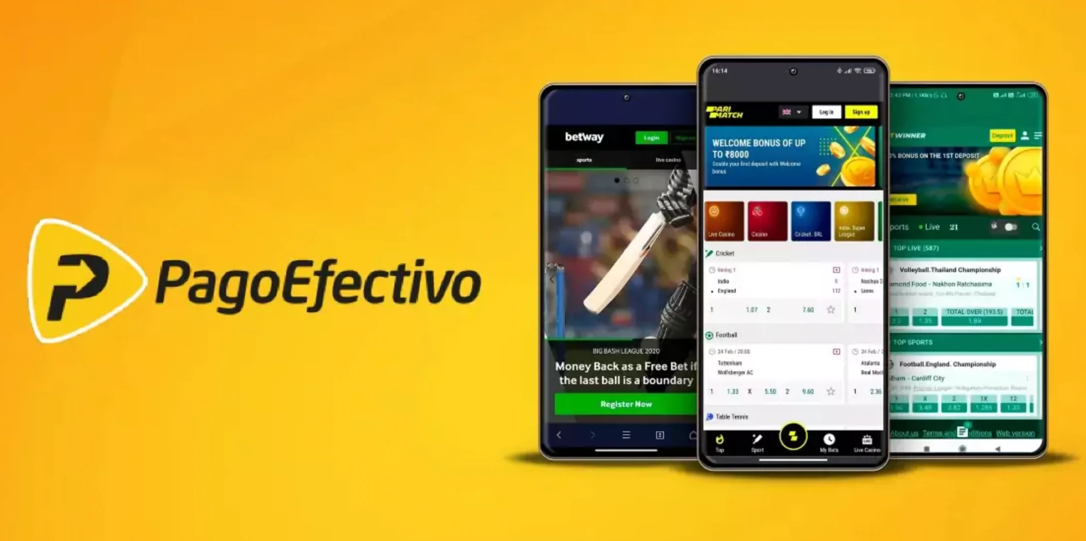 PagoEfectivo PagoEfectivo